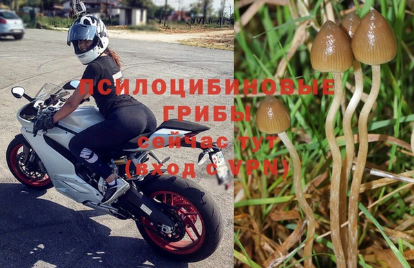COCAINE Белокуриха