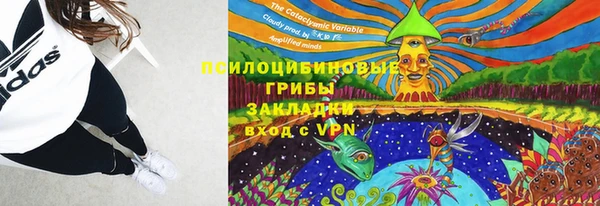 крисы Белоозёрский